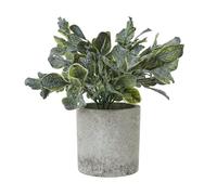 Hill Interiors Giana Eucalyptus Artificial Plant - Green - 20cm - Green