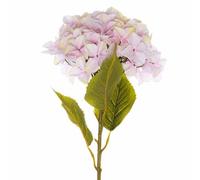 Hill Interiors Giant Hydrangea Artificial Flower - Plastic - L36 X W36 X H115 Cm - Pink