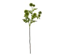 Hill Interiors Globe Thistle Artificial Flower Spray - Green, 56cm