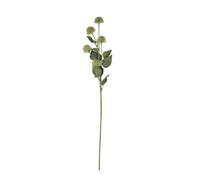 Hill Interiors Globe Thistle Spray Artificial Flower Green (81Cm X 18Cm X 18Cm)