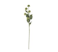 Hill Interiors Globe Thistle Spray Artificial Flower - Green - 81cm x 18cm x 18cm - Green
