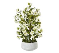 Hill Interiors Hellebore Artificial Potted Plant 41cm x 33cm x 38cm in White | Size: 41 cm x 33 cm x 38 cm Hill Interiors White 41 cm x 33 cm x 38 cm