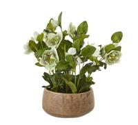 Hill Interiors Hellebore Artificial Potted Plant In Green Green
