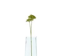 Hill Interiors Hydrangea Artificial Flower - Green - One Size - Green