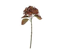 Hill Interiors Hydrangea Artificial Plant (One Size) (Brown)