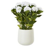 Hill Interiors Hydrangea Artificial Potted Plant - White/Green - White/Green - 79cm x 63cm x 63cm
