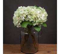 Hill Interiors Hydrangea Green Shabby Faux Plant Single