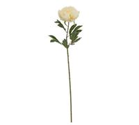Hill Interiors Large Buttermilk Double Peony Stem Artificial Flower - Plastic - L19 X W19 X H95 Cm - Cream