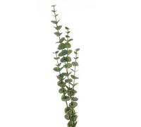 Hill Interiors Large Cineraria Eucalyptus Spray