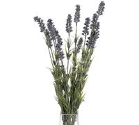 Hill Interiors Large Lavender Bush Artificial Flower (Single Stem With 12 Flower Heads) - Plastic - L16 X W16 X H66 Cm - Blue/purple