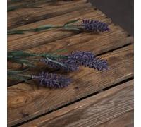 Hill Interiors Large Lavender Spray Artificial Flower - Single Stem - Plastic - L15 X W15 X H72 Cm - Purple