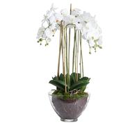 Hill Interiors Large Orchid In Glass Pot In White White