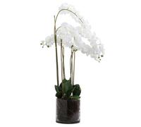 Hill Interiors Large White Tall Orchid In Glass Pot