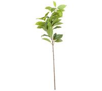 Hill Interiors Laurel Artificial Plant Green (One Size)