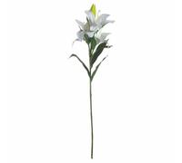 Hill Interiors Lily Artificial Flower - Plastic - L28 X W28 X H87 Cm - White