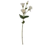 Hill Interiors Lisianthus Spray Artificial Flower - Plastic - L15 X W15 X H69 Cm - White