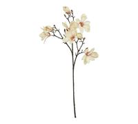 Hill Interiors Magnolia Artificial Flower - Pale Apricot - 86cm - Pale Apricot - 100% Mixed