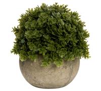 Hill Interiors Miniature Hebe Veronica Decoration - Green/Brown - Green/Brown