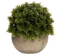 Hill Interiors Miniature Hebe Veronica Dration In Bright Green Bright Green One Size