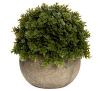 Hill Interiors Miniature Hebe Veronica In Pot