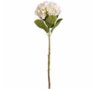 Hill Interiors Oversized Hydrangea Artificial Flower - Fabric/plastic - L25 X W25 X H73 Cm - White