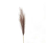 Hill Interiors Pampas Grass Artificial Flower - Brown - 120cm x 30cm x 30cm - Brown