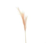 Hill Interiors Pampas Grass Artificial Flower - Taupe - 120cm x 30cm x 30cm - Taupe