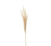 Hill Interiors Pampas Grass Artificial Flower - White - 120cm x 30cm x 30cm - White