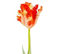 Hill Interiors Parrot Tulip Artificial Flower Green/flame Orange (One Size)