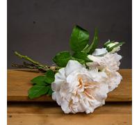 Hill Interiors Peachy Cream Short Stem Rose Bouquet