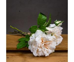 Hill Interiors Peachy Cream Short Stem Rose Bouquet