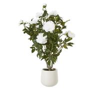 Hill Interiors Peony Artificial Potted Plant - White - One Size