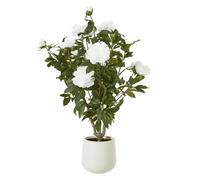 Hill Interiors Peony Artificial Potted Plant in White Hill Interiors White