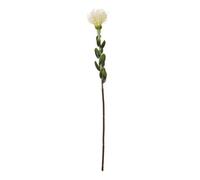 Hill Interiors Pincushion Protea Spray Artificial Flower - Cream - One Size