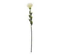 Hill Interiors Pincushion Protea Spray Artificial Flower - Cream - One Size