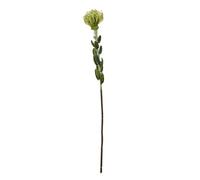 Hill Interiors Pincushion Protea Spray Artificial Flower - Green - One Size