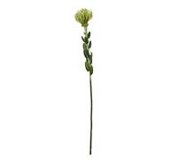 Hill Interiors Pincushion Protea Spray Artificial Flower - Green - One Size