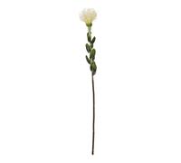 Hill Interiors Pincushion Protea Spray Artificial Flower - Cream - One Size