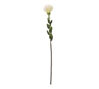 Hill Interiors Pincushion Protea Spray Artificial Flower in Cream Hill Interiors Cream