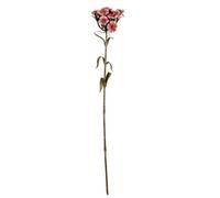 Hill Interiors Pink Dianthus Spray Artificial Flower - Plastic - L14 X W14 X H55 Cm - Pink