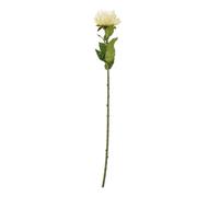 Hill Interiors Protea Lorea Stem Artificial Plant - Cream - One Size