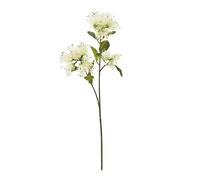 Protea Nitida Stem Artificial Flower Spray Hill Interiors Cream One Size