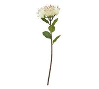 Hill Interiors Protea Nitida Stem Artificial Plant - Cream - One Size - Cream