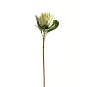 Protea Protea Artificial Flower Hill Interiors White One Size