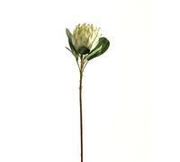 Hill Interiors Protea Protea Artificial Flower (One Size) (White)