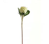 Hill Interiors Protea Protea Artificial Flower - White - One Size - White