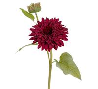Hill Interiors Raven Dahlia Artificial Flower - Green/Burgundy - One Size - Green/Burgundy