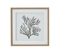 Hill Interiors Reef Coral Framed Print In Dark Brown Dark Brown One Size