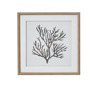 Hill Interiors Reef Coral Framed Print In Dark Brown Dark Brown One Size