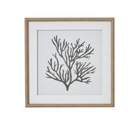 Hill Interiors Reef Coral Framed Print In Dark Brown Dark Brown One Size